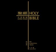 专责出书及鞭策《新译