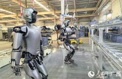 <b>成熟算法才能植入机械人“大脑</b>